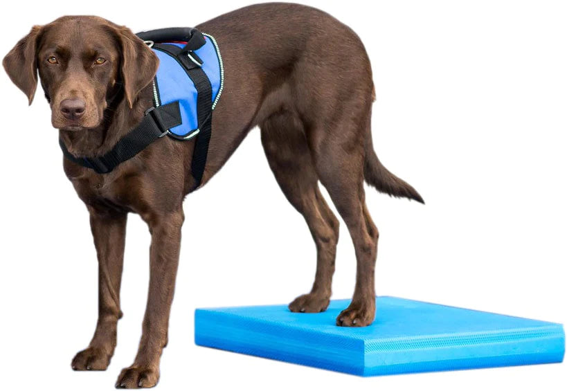 FitPAWS® Balance Pad 15" x 18.25" x 2"