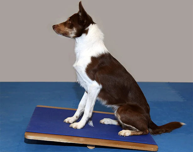 FitPAWS® Giant Rocker Board 30" x 30"