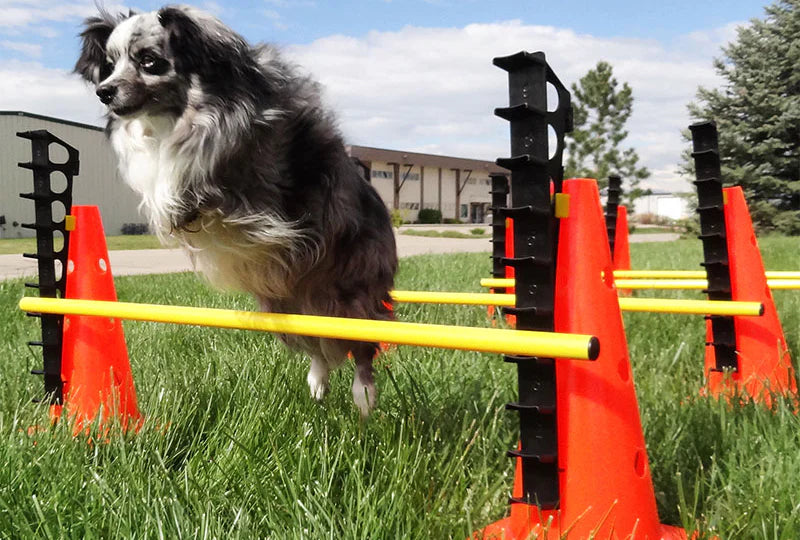 FitPAWS® Hurdle Set