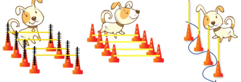 FitPAWS® Hurdle Set
