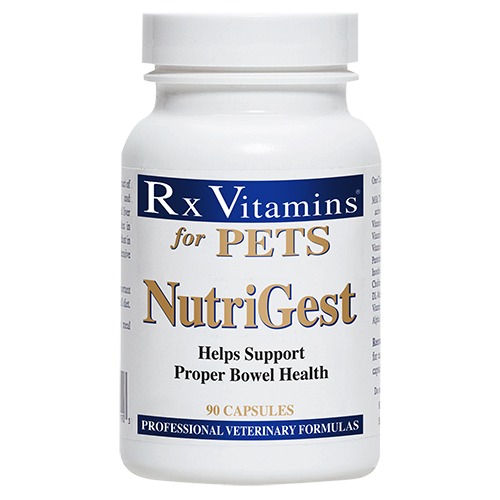 RX Vitamins Nutrigest 90 capsules