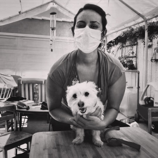 In Home Medical Services Mobile Vet in Tarzana, CA PAC Pet