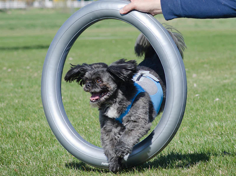 FitPAWS® Circular Product Holder, Grey