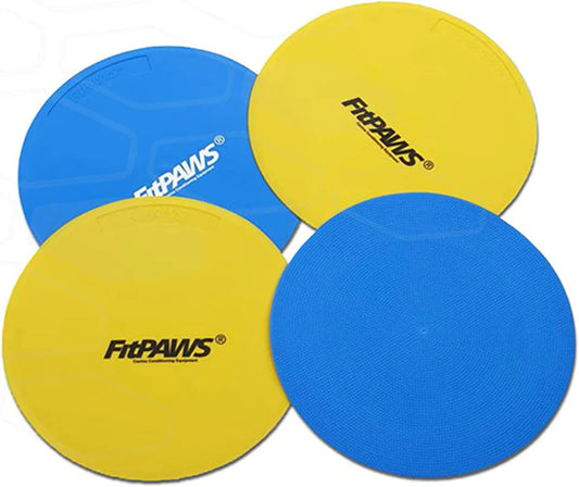 FitPAWS® Targets (Set of 4, Assorted colors)