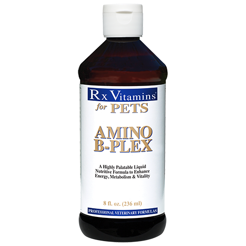 RX Vitamins Amino B-Plex 8 fl oz