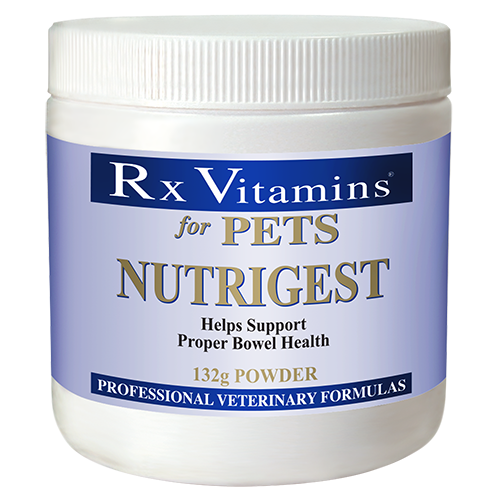 RX Vitamins Nutrigest Bulk Powder 132g
