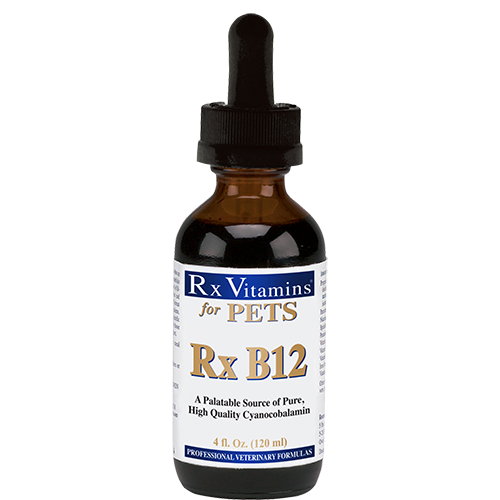 RX Vitamins B12 4 fl oz