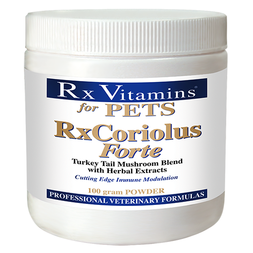 RX Vitamins Coriolus Forte 100g powder