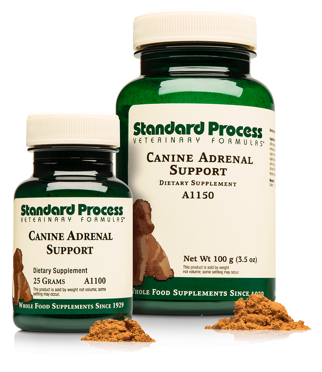 Standard Process Canine Adrenal Support 25g powder