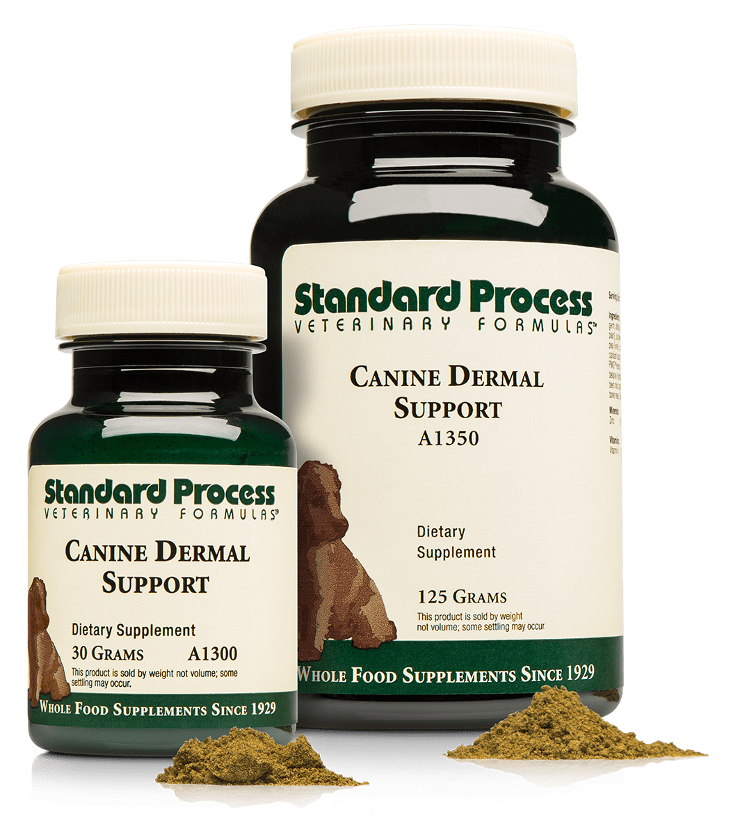 Standard Process Canine Dermal Support 30g powder