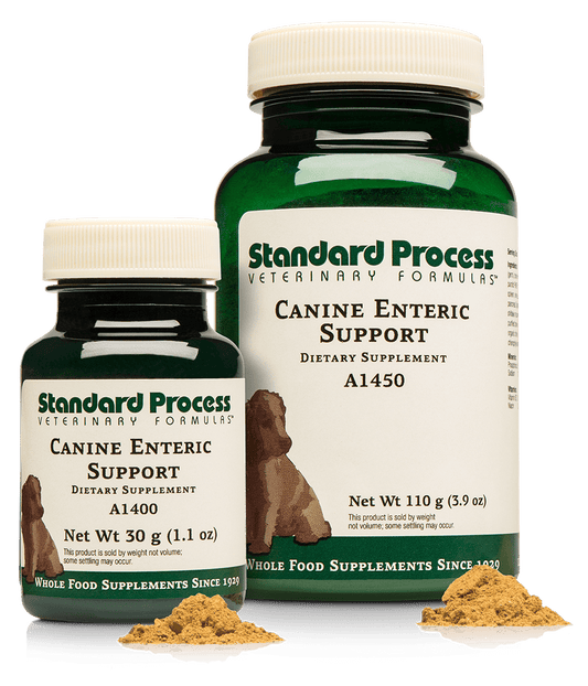 Standard Process Canine Enteric Support 110g powder