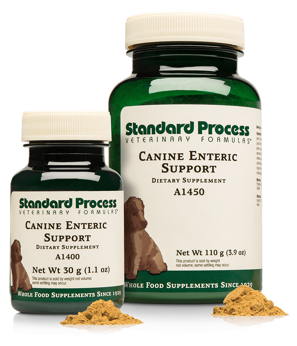 Standard Process Canine Enteric Support 30g powder