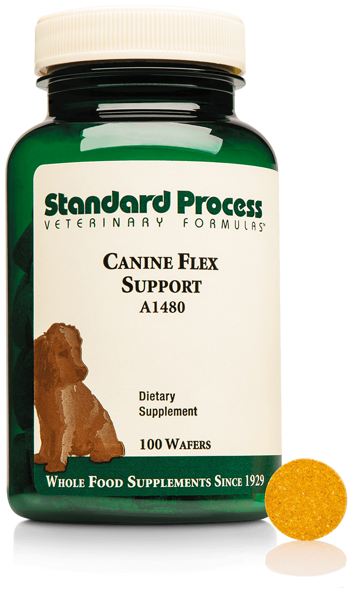 Standard Process Canine Flex Support 100 wafers