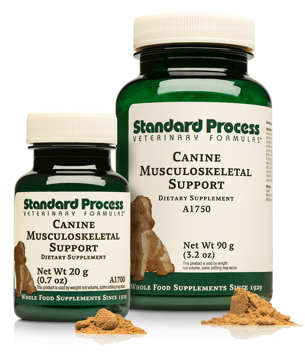 Standard Process Canine Musculoskeletal Support 20g powder