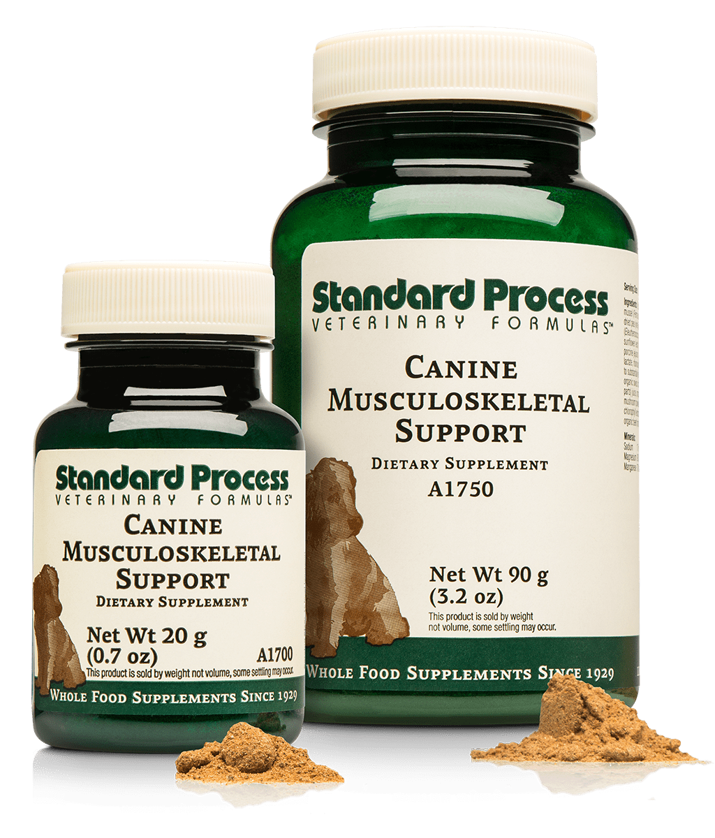 Standard Process Canine Musculoskeletal Support 20g powder PAC Pet