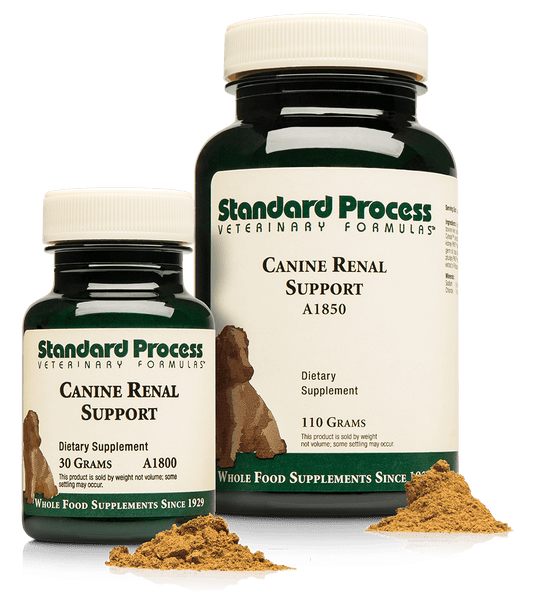 Standard Process Canine Renal Support 30g powder