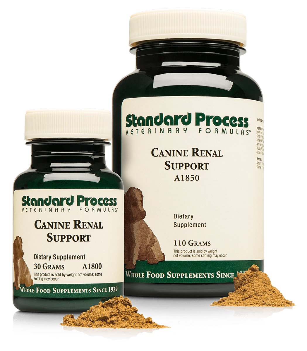 Standard Process Canine Renal Support 30g powder – PAC Pet