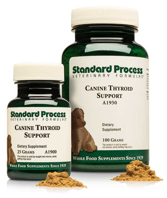 Standard Process Canine Thyroid Support 110g powder
