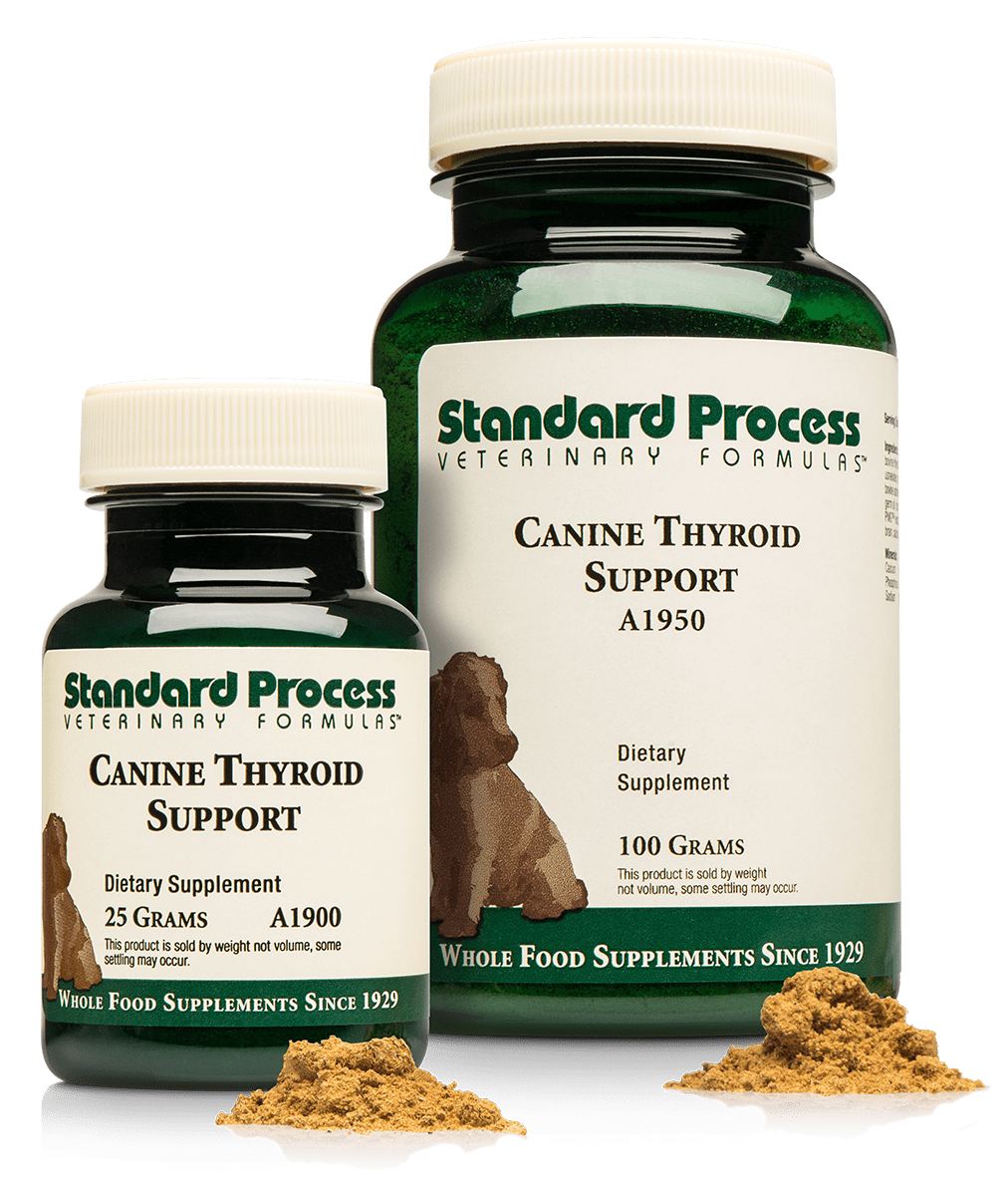 Standard Process Canine Thyroid Support 25g powder