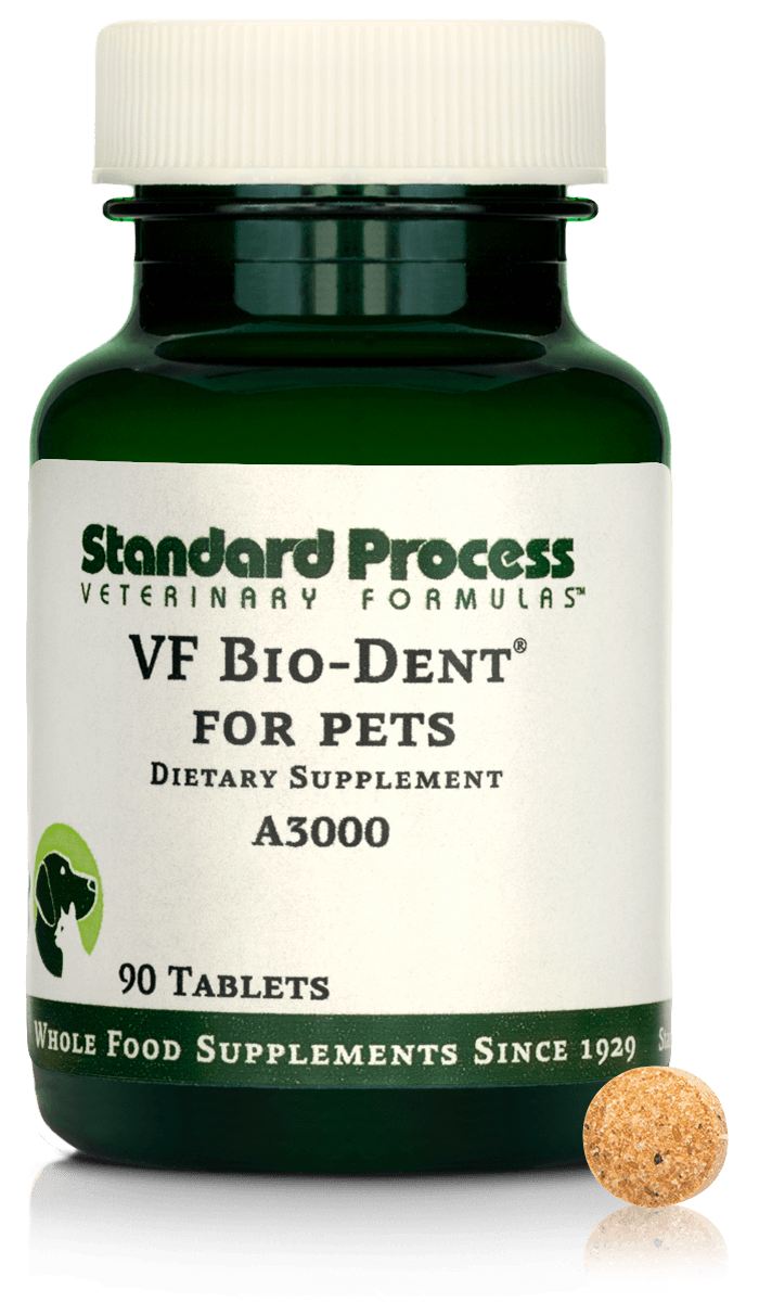 Standard Process VF Bio-Dent 90 tablets