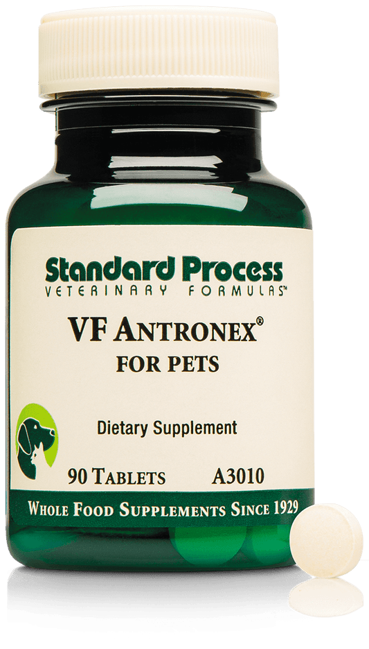 Standard Process VF Antronex 90 tablets