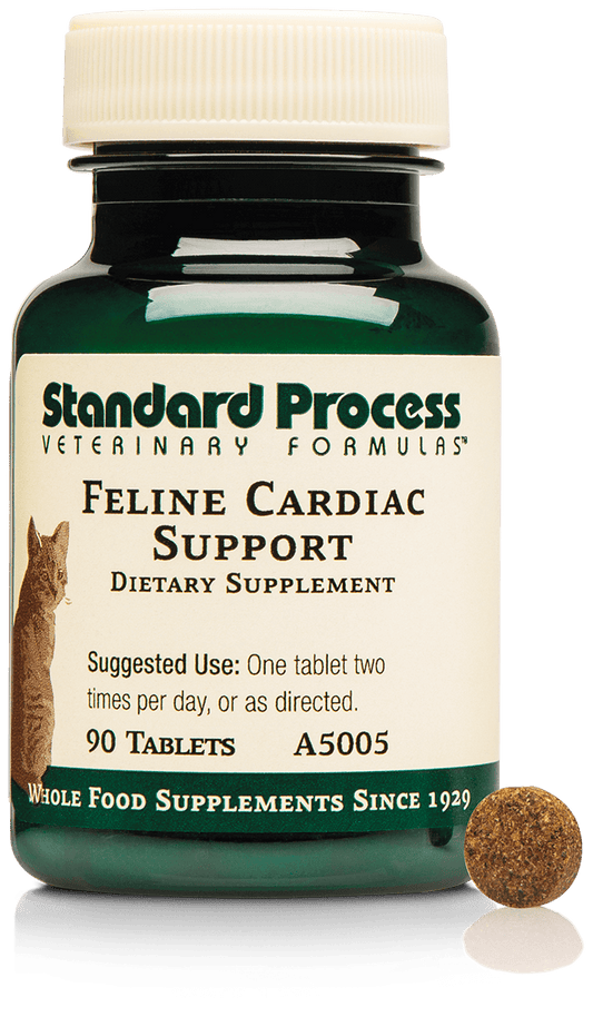 Standard Process Feline Cardiac Support 90 tablets