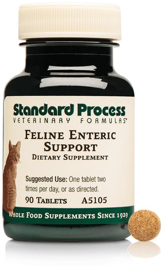 Standard Process Feline Enteric Support 90 tablets
