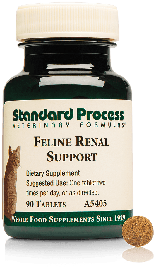 Standard Process Feline Renal Support 90 tablets