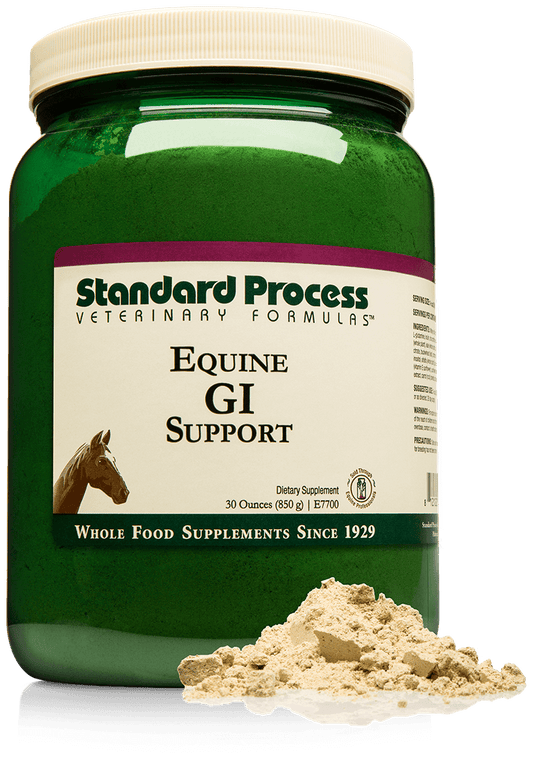 Standard Process Equine GI Support 30oz powder