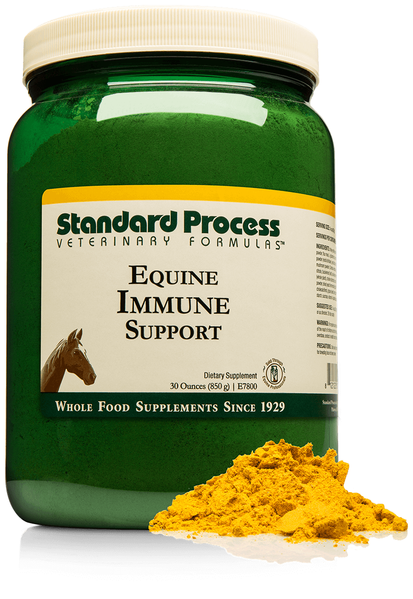 Standard Process Equine Immune Support 30oz powder