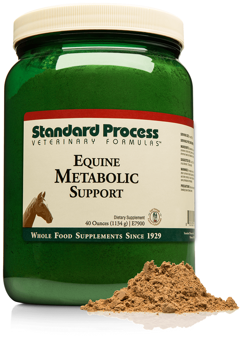 Standard Process Equine Metabolic Support 40oz powder