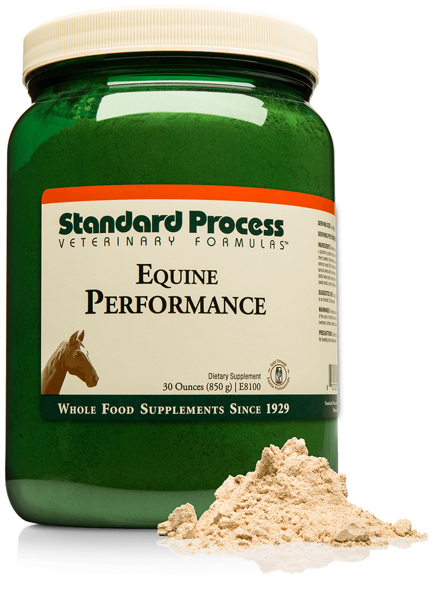 Standard Process Equine Performance Support 30oz powder