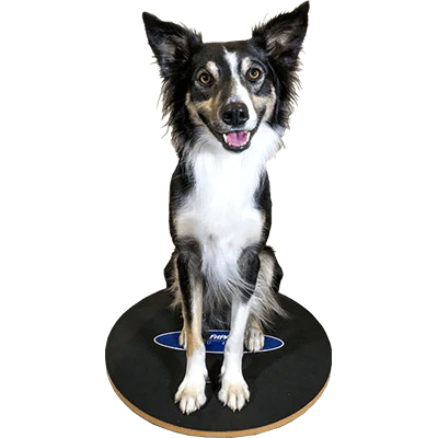 FitPAWS® Wobble Board (2 sizes)