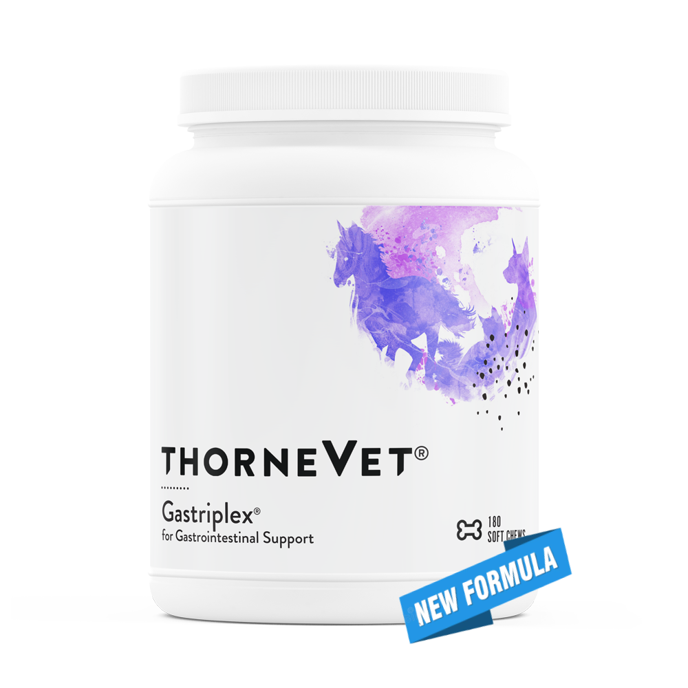 Thorne Vet: Gastriplex (180 soft chew bottle)