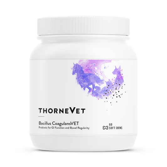 Thorne Vet: Bacillus CoagulansVET (60 soft chew bottle)