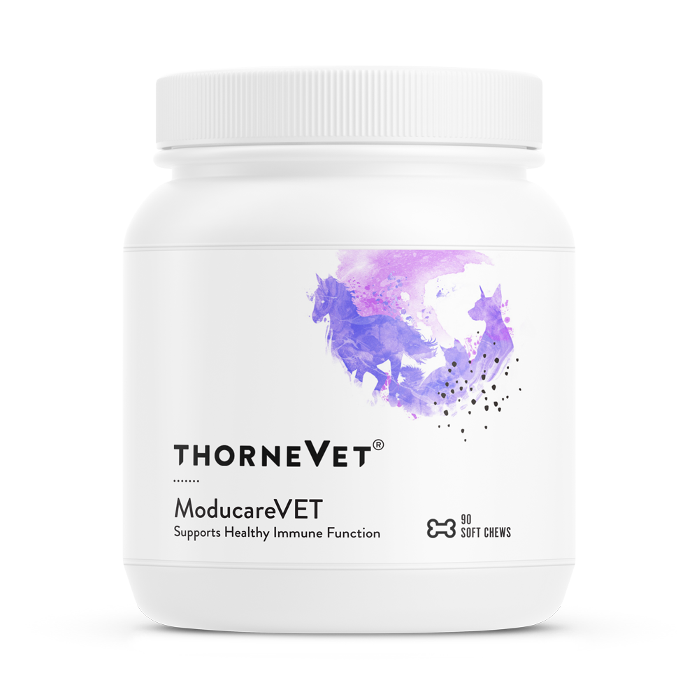 Thorne Vet: Moducare VET (90 soft chew bottle)