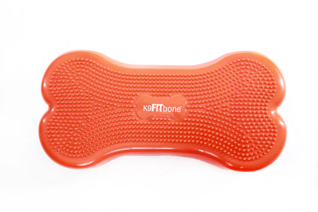 K9FITbone™ Dog Balance Training Platform